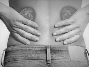 Terapia para inflamación de los riñones, con ingrediente: maíz