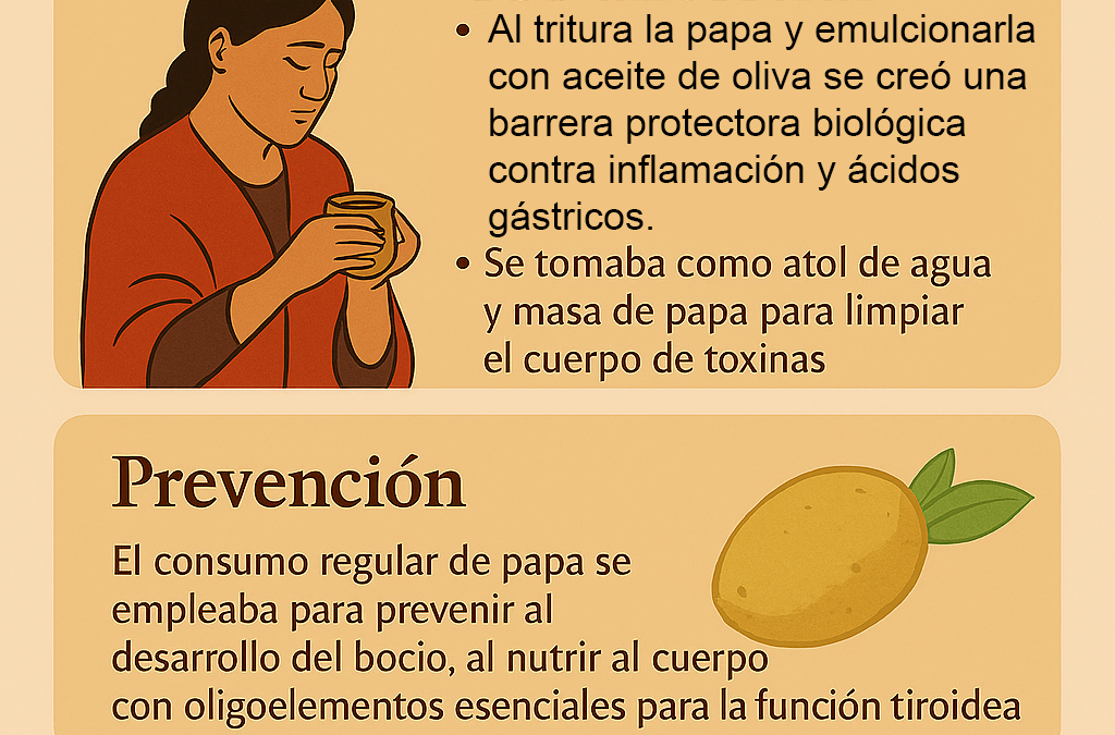 Papa (II): El Escudo de Almidón y el Centinela del Bocio