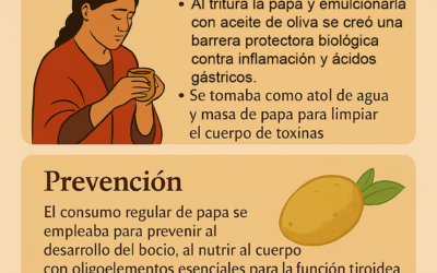 Papa (II): El Escudo de Almidón y el Centinela del Bocio